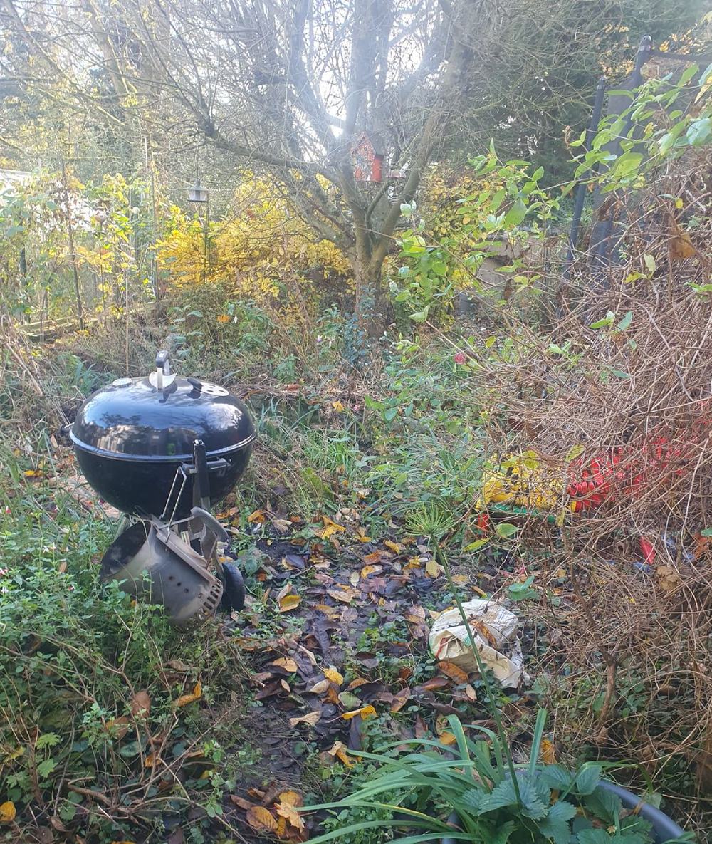 Zugewachsener Garten mit Laub und Gerümpel vor der Pflege